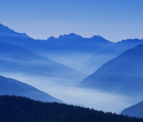 私立试管医院天津（天津市私立试管医院）
